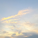 土土