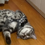 众一