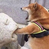 块块