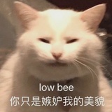 xielu鹿