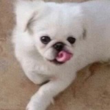山间竹笋