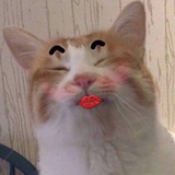 xxinin