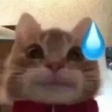 失焦