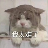 朗诗未来社区