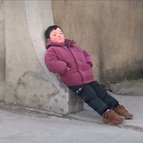 笨鸟嫌肥