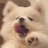 谁特么是巴基