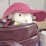 可以开心一点ᵕ̈