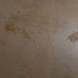 我是只鱼2011