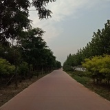 我们