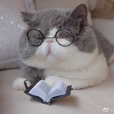 我还没睡醒