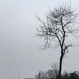 旷野上