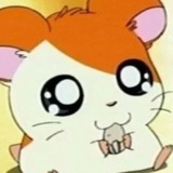 kuku