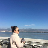 胡杨