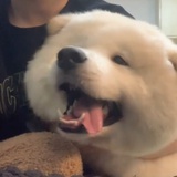 嗯