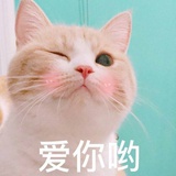 YY猫