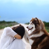 Amour