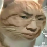 听泉（快放假）