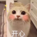 whitesw7