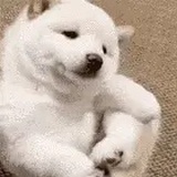 哦