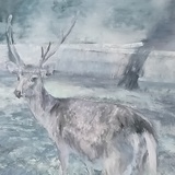 嗯哼