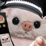 小天狗星怀特