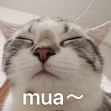 人参