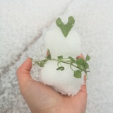 归期