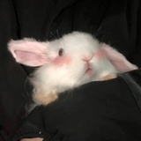 Kiki