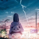 枫