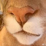 社会王