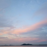 重度妄想症患者