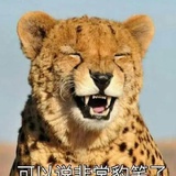 听歌v发