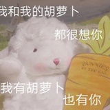 小小