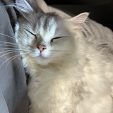 小郑不是倒霉蛋