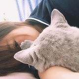 张慧