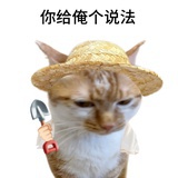 搞点奶酪吃吃吧