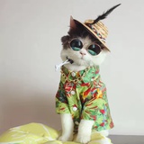 月牙