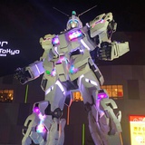 yizhenqin