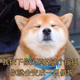 暮暮酱
