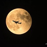 Dream