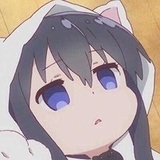 XX家的猫