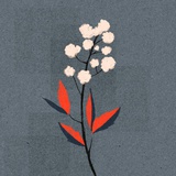 王二狗