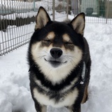 不要肉松