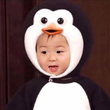 小甫头