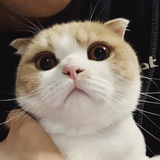 東