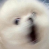 Cher见夏