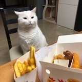 ರೃ⁍̴̛