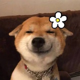 孤讀。