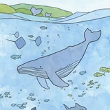 whaler