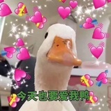 乌托邦的大西瓜